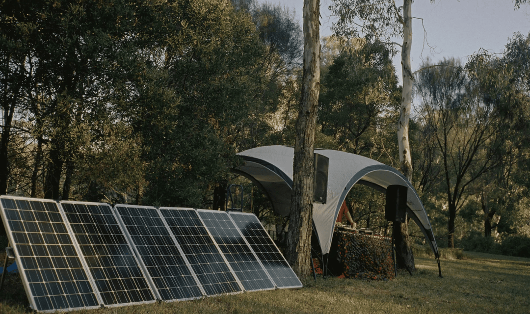 'Renewable Energy: The Future of Our Social Scene'